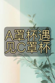 A罩杯遇见C罩杯封面