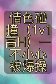 情色碰撞（1v1 高H）一不小心被爆操封面