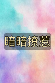 暗暗撩惹封面