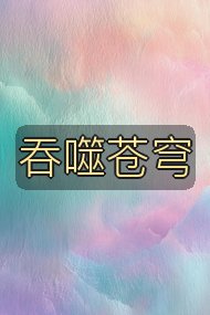 吞噬苍穹封面