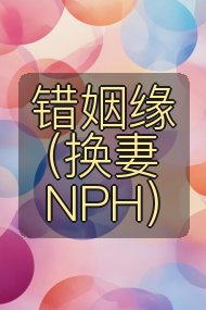 错姻缘（换妻NPH）封面