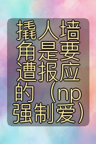 撬人墙角是要遭报应的（np 强制爱）封面