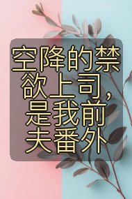 空降的禁欲上司，是我前夫番外封面