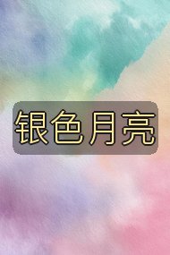 银色月亮封面