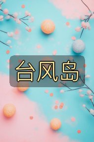 台风岛封面
