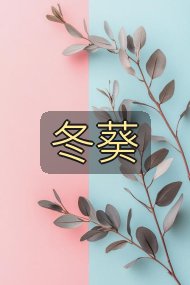 冬葵封面