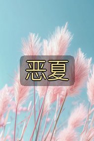 恶夏封面