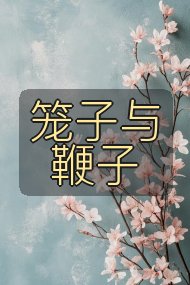 笼子与鞭子封面