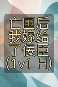 亡国后我嫁给了佞臣（1v1 H）封面