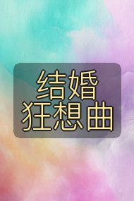 结婚狂想曲封面
