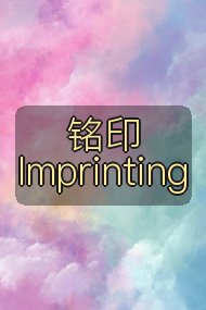 铭印 Imprinting封面