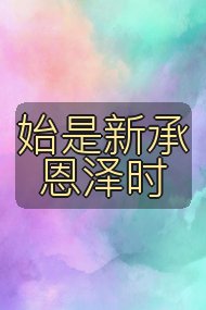 始是新承恩泽时封面