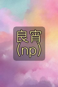 良宵（np）封面