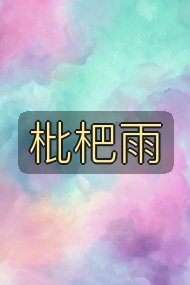 枇杷雨封面