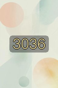 3036封面
