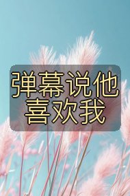 弹幕说他喜欢我封面