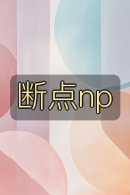 断点np封面