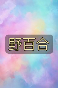野百合封面