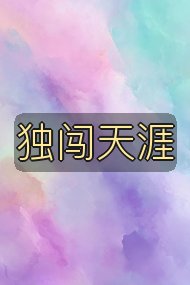 独闯天涯封面