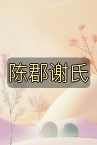 陈郡谢氏封面