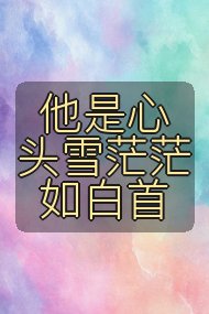 他是心头雪茫茫如白首封面