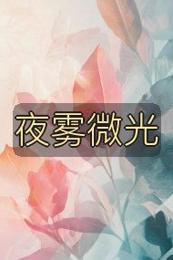 夜雾微光封面