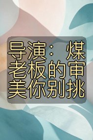 导演：煤老板的审美你别挑封面