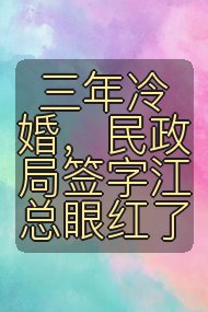 三年冷婚，民政局签字江总眼红了封面
