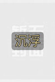 沉浮封面