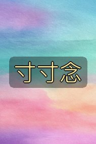 寸寸念封面