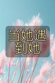 当她遇到她封面
