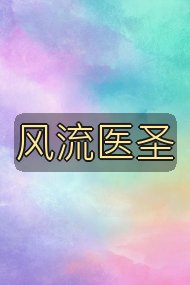风流医圣封面