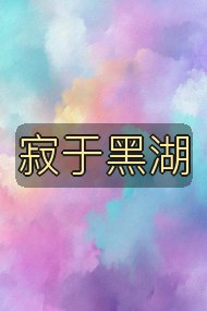 寂于黑湖封面