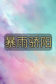 暴雨骄阳封面