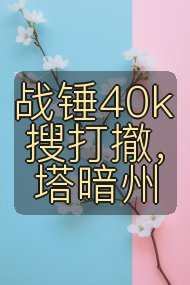 战锤40k搜打撤，塔暗州封面