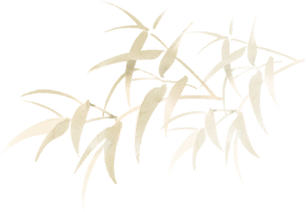 装饰草图